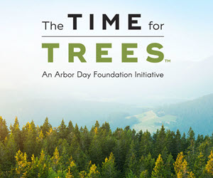 time-for-trees